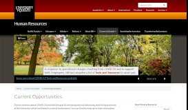 
							         Current Opportunities | Human Resources - University of Guelph								  
							    