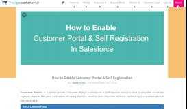 
							         Customer Portal In Salesforce - WedgeCommerce								  
							    