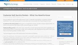 
							         Customer Self-Service Portals - What You Need to Know | BluSynergy								  
							    