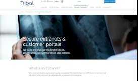 
							         Developers of extranet, intranet, customer portals - Tribal Systems								  
							    
