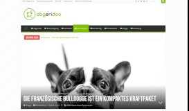 
							         Die Französische Bulldogge ist ein kompaktes Kraftpaket - dogeridoo								  
							    