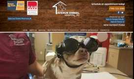 
							         Dog Care Tinley Park, IL | Avenue Animal Hospital, PC								  
							    