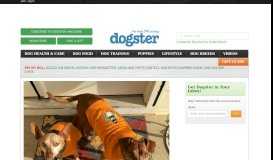 
							         Dogster: For the Love of dog								  
							    