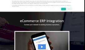 
							         eCommerce ERP Integration - Eagle Business Software								  
							    