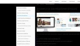 
							         Ecommerce Website Development Services | ScienceSoft								  
							    