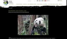 
							         Edinburgh Zoo Panda Cam - Giant Panda Global Awards								  
							    