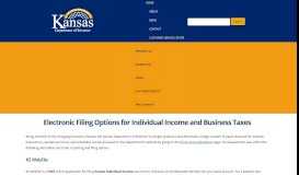 
							         Electronic Filing Options for Individual Income and Business Taxes								  
							    