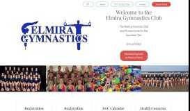 
							         Elmira Gymnastics								  
							    
