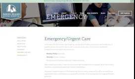 
							         Emergency Care - Emergency — Daniel Island Animal Hospital								  
							    