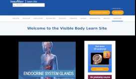 
							         Endocrine System | Learn Anatomy - Visible Body								  
							    
