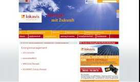 
							         Energie Manager Solarwatt - Lokavis Energietechnik								  
							    