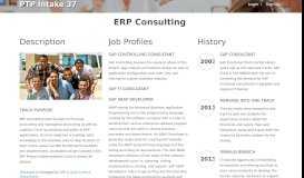 
							         ERP Consulting - ( ITi).								  
							    