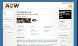 
							         Eunectes murinus: INFORMATION - ADW								  
							    