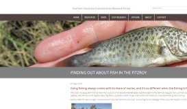 
							         Finding out about fish in the Fitzroy | Northern Australia Environmental ...								  
							    
