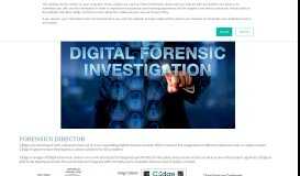 
							         Forensics Director - CEdge Software Consultants								  
							    