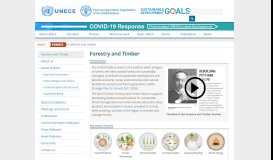 
							         Forestry and Timber - Forestry and Timber - UNECE								  
							    
