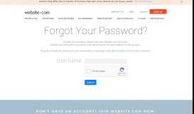 
							         Forgot password | Website.com								  
							    