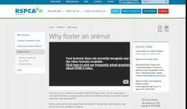 
							         Foster an animal - RSPCA Queensland								  
							    