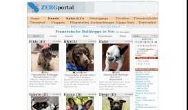 
							         Französische Bulldogge in Not - Hundevermittlung - Das Online ...								  
							    