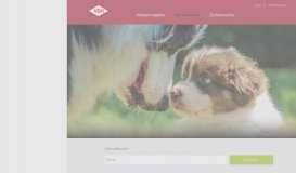 
							         Französische Bulldogge: Züchter mit Welpen » VDH.de								  
							    