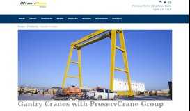 
							         Gantry Cranes | ProservCrane Group								  
							    