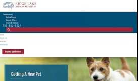 
							         Getting a New Pet | Ridge Lake Animal Hospital | VA Vet								  
							    