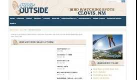 
							         Go Bird Watching near Clovis - Where to go Birding near Clovis NM								  
							    