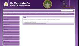 
							         Governor Information - St Catherine's Catholic Primary School								  
							    