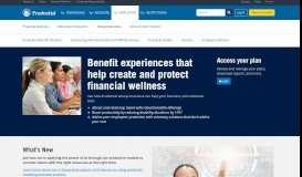 
							         Group Insurance Prudential Financial Employers | Prudential Financial								  
							    