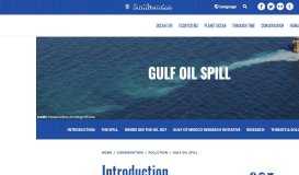 
							         Gulf Oil Spill | Smithsonian Ocean								  
							    