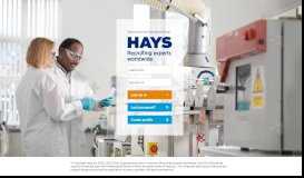 
							         Hays Brand Manager								  
							    