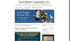 
							         horryelectric | Horry Electric Cooperative, Inc. | Page 3								  
							    