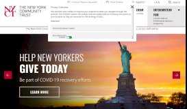 
							         How to Apply for a Grant | New York Community Trust								  
							    
