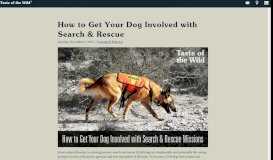 
							         How to Get Your Dog Involved with Search & Rescue								  
							    