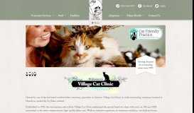 
							         How to prepare for your cat goes missing | Village Cat Clinic								  
							    