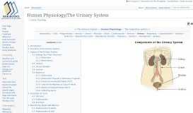 
							         Human Physiology/The Urinary System - Wikibooks, open books for ...								  
							    