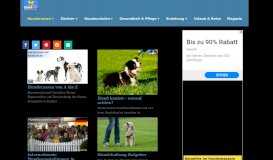 
							         Hundeportal hundund - Infos, Wissenswertes & Tipps über Hunde								  
							    