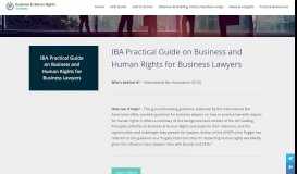 
							         IBA Practical Guide on Business and Human Rights for Business ...								  
							    