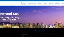 
							         IGU | Welcome to the Global Gas Portal								  
							    