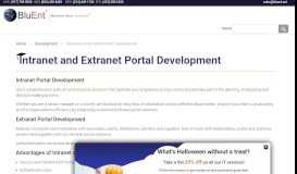 
							         Intranet Portal Design and Development | BluEnt								  
							    