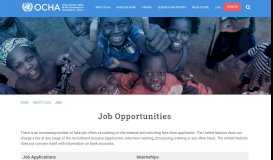 
							         Job Opportunities | OCHA								  
							    