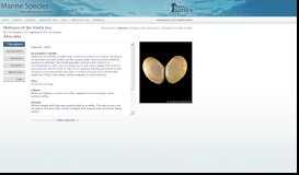 
							         Lacuna crassior - Marine Species Identification Portal								  
							    
