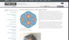 
							         Learn: Paper Models: Human Papillomavirus (HPV) - PDB-101								  
							    