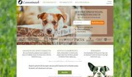 
							         Leinentausch: Liebevolle Hundebetreuung								  
							    