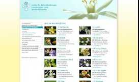 
							         Liste der 38 Bach-Blüten » Institut für Bachblütentherapie Mechthild ...								  
							    