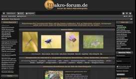 
							         Makro-Forum.de - Startseite								  
							    