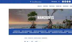 
							         Mangroves | Smithsonian Ocean								  
							    