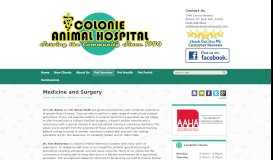 
							         Medicine and Surgery | Veterinarian Albany, NY | Colonie Animal ...								  
							    