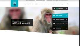 
							         Meet our Animals | RZSS Highland Wildlife Park | Highland Wildlife Park								  
							    