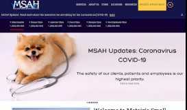 
							         Metairie Small Animal Hospital: Top Rated Local Veterinarians								  
							    